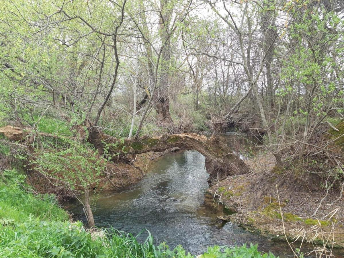 Georgia'S Village House Kondostavlos Екстериор снимка