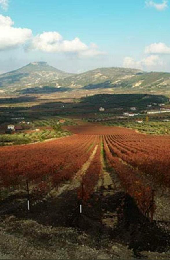 Georgia'S Village House Kondostavlos Екстериор снимка